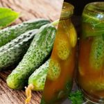 Cómo cerrar pepinos en salsa de tomate con chile para