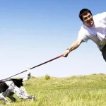 como-ensenar-a-tu-perro-a-no-tirar-de-la.webp.webp