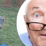 El extraño hallazgo cerca del árbol dejó perplejo al vecino: