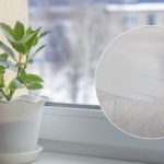 El resultado te sorprenderá: una receta para un remedio que