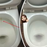 Un producto blanqueará la taza del váter hasta dejarla reluciente: